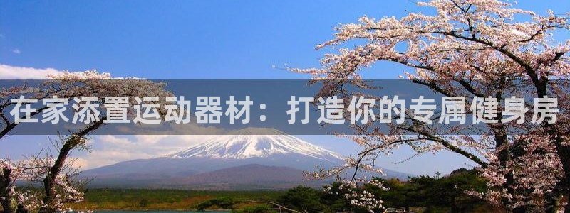 意昂集团官网：在家添置运动器材：打造你的专属健身房