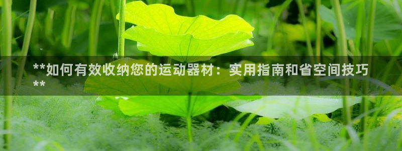 意昂体育3官方客服电话：**如何有效收纳您的运动器材