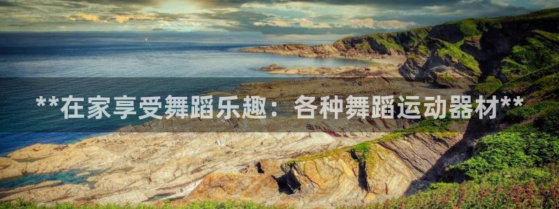 意昂体育3软件：**在家享受舞蹈乐趣：各种舞蹈运动器