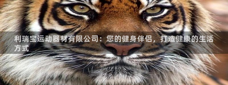意昂体育3注册：利瑞宝运动器材有限公司：您的健身伴侣
