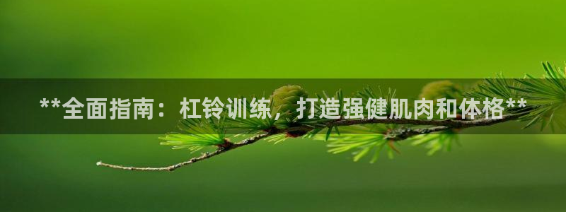 意昂3娱乐是那个系列的台子：**全面指南：杠铃训练，