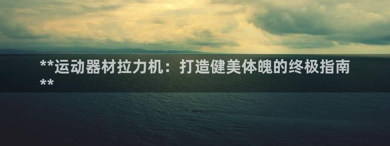 海南意昂体育3发展怎么样：**运动器材拉力机：打造健