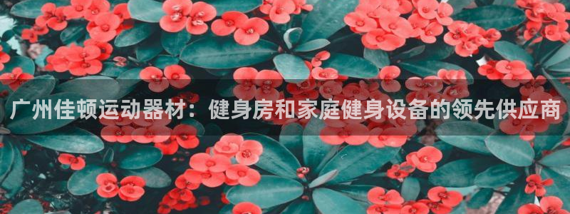 意昂体育3平台注册要钱吗安全吗：广州佳顿运动器材：健