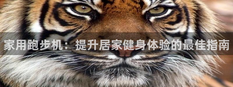 意昂3五金厂：家用跑步机：提升居家健身体验的最佳指南