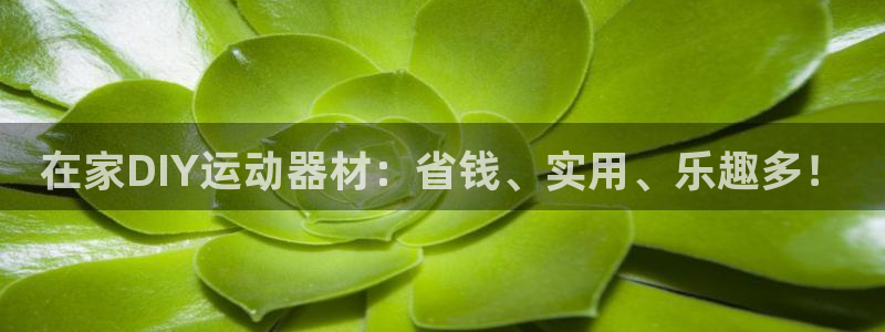 意昂3集团logo：在家DIY运动器材：省钱、实用、