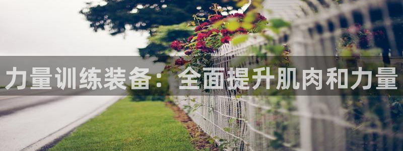意昂3集团E.ON：力量训练装备：全面提升肌肉和力量