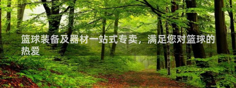 意昂体育3平台：篮球装备及器材一站式专卖，满足您对篮