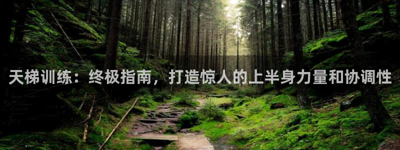 意昂3娱乐是那个系列的台子：天梯训练：终极指南，打造