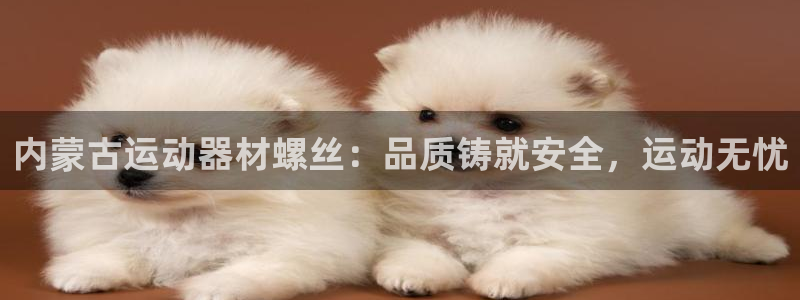 意昂3娱乐网站：内蒙古运动器材螺丝：品质铸就安全，运