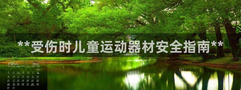 意昂3集团E.ON：**受伤时儿童运动器材安全指南*