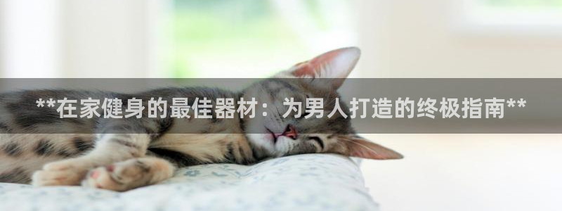意昂3五金厂：**在家健身的最佳器材：为男人打造的终