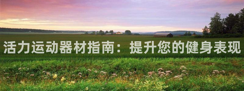 意昂3五金厂：活力运动器材指南：提升您的健身表现