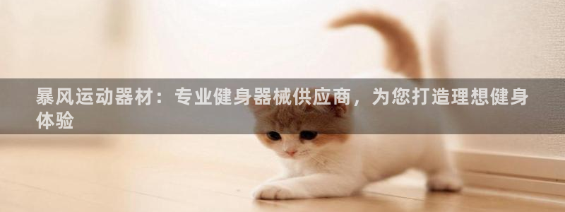 意昂3娱乐网站：暴风运动器材：专业健身器械供应商，为