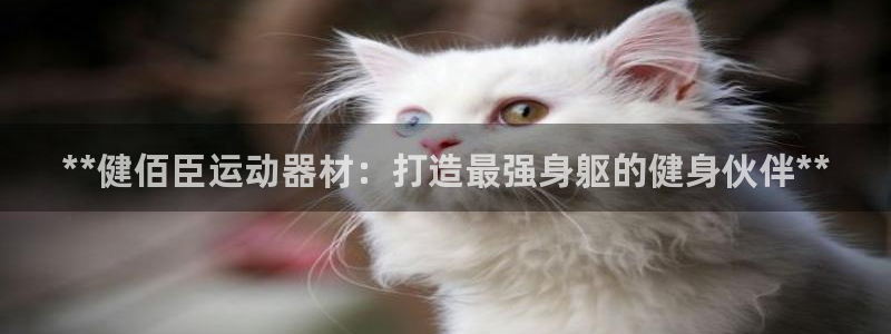 意昂3五金厂：**健佰臣运动器材：打造最强身躯的健身