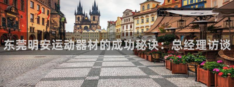 意昂体育3官方客服电话：东莞明安运动器材的成功秘诀：