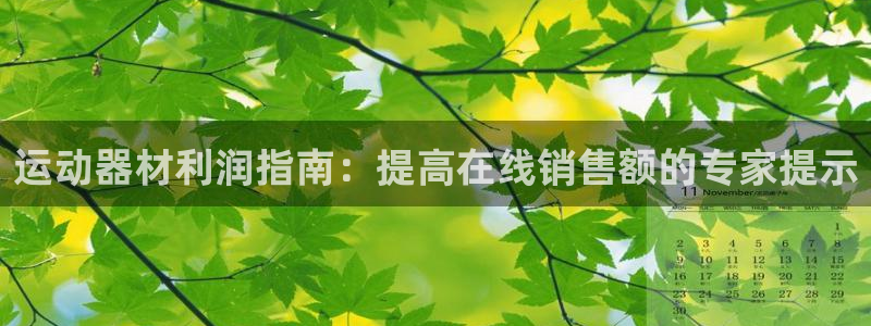 意昂3神州：运动器材利润指南：提高在线销售额的专家提