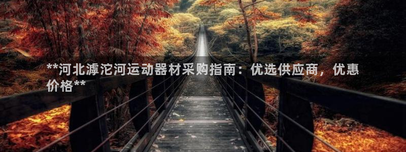 意昂3五金厂：**河北滹沱河运动器材采购指南：优选供