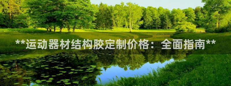 意昂3官方：**运动器材结构胶定制价格：全面指南**