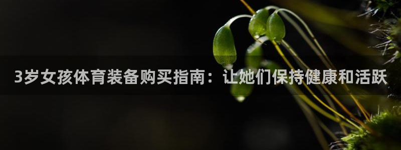 意昂3娱乐是那个系列的台子：3岁女孩体育装备购买指南