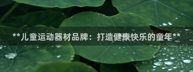 意昂体育3软件：**儿童运动器材品牌：打造健康快乐的
