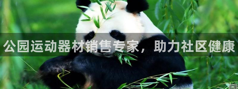 意昂3官网：公园运动器材销售专家，助力社区健康