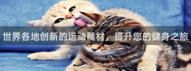 意昂体育3开户：世界各地创新的运动器材，提升您的健身