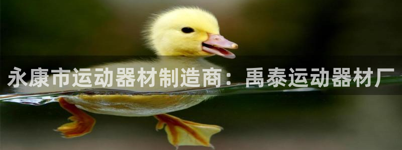 意昂3集团官网首页：永康市运动器材制造商：禹泰运动器