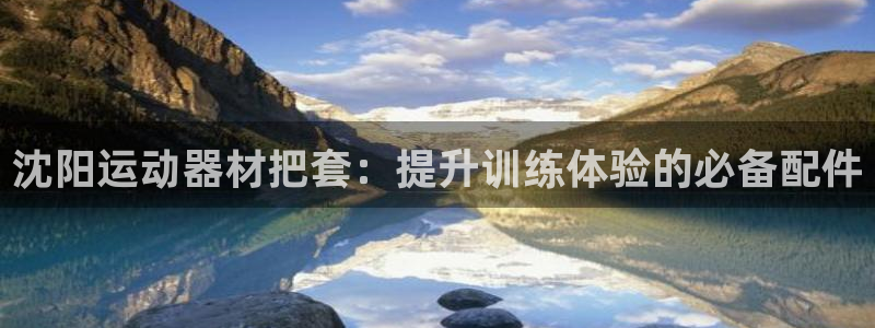 注册意昂3：沈阳运动器材把套：提升训练体验的必备配件