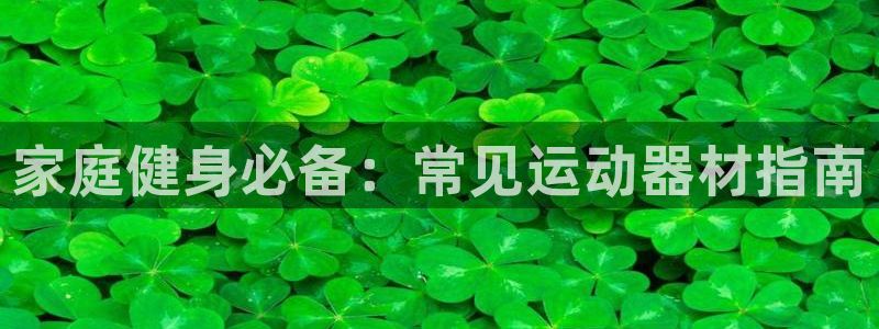 意昂3科技：家庭健身必备：常见运动器材指南
