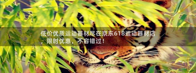 意昂体育3招商电话地址：低价优质运动器材尽在京东61