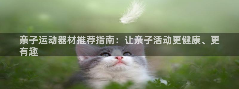 意昂体育3招商电话号码是多少号：亲子运动器材推荐指南