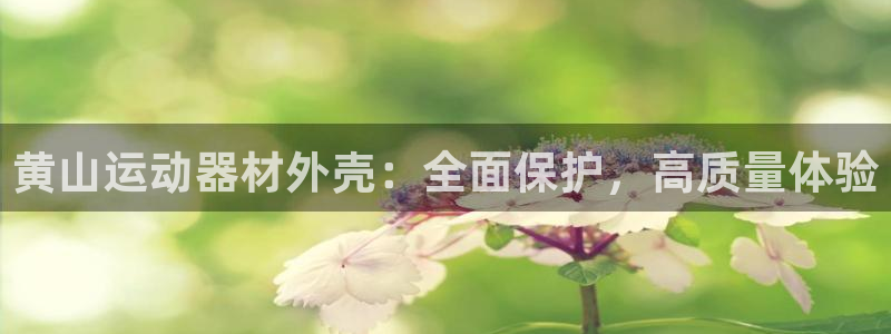 意昂3新能源：黄山运动器材外壳：全面保护，高质量体验