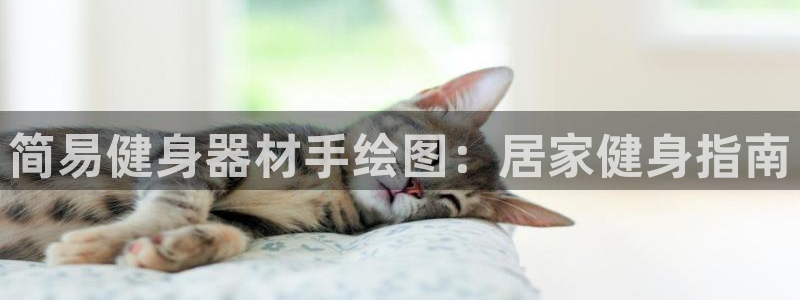 意昂体育3招商：简易健身器材手绘图：居家健身指南