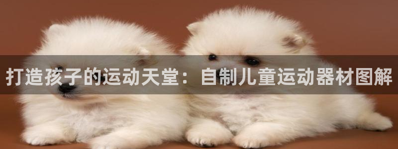 意昂体育3招商电话是多少：打造孩子的运动天堂：自制儿