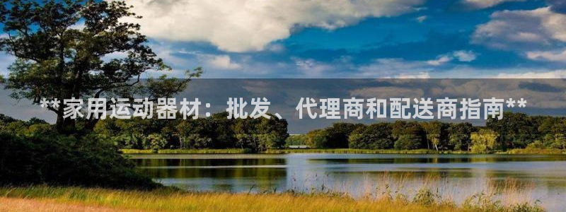 意昂体育3软件：**家用运动器材：批发、代理商和配送