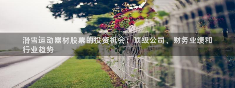 海南意昂体育3：滑雪运动器材股票的投资机会：顶级公司