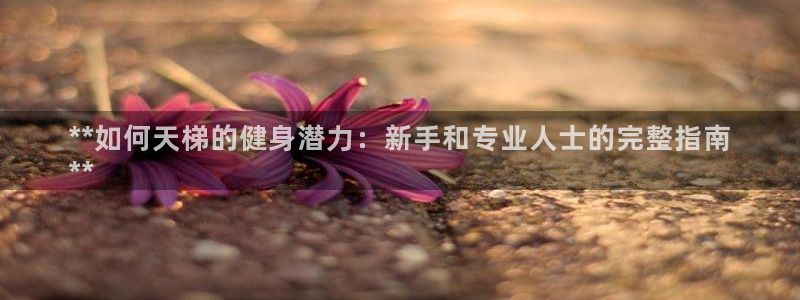 意昂体育3软件：**如何天梯的健身潜力：新手和专业人