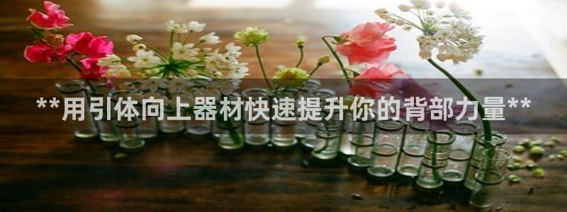 意昂体育3联系电话：**用引体向上器材快速提升你的背