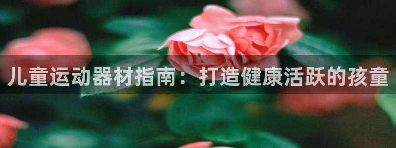 意昂体育3招商电话号码是多少啊：儿童运动器材指南：打