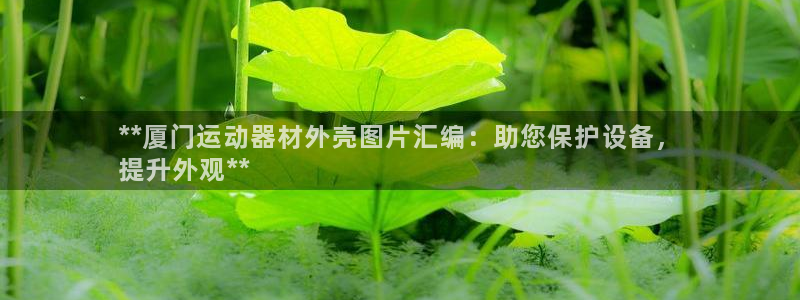 意昂体育3招商：**厦门运动器材外壳图片汇编：助您保