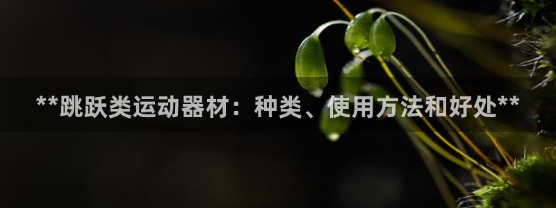 意昂体育3平台注册：**跳跃类运动器材：种类、使用方