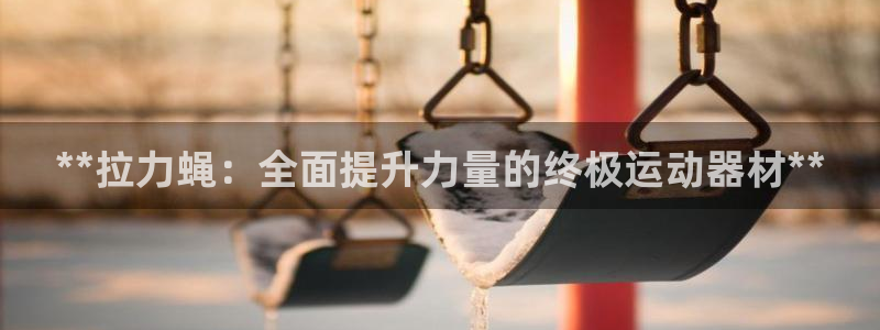 意昂体育3招商电话号码查询：**拉力蝇：全面提升力量