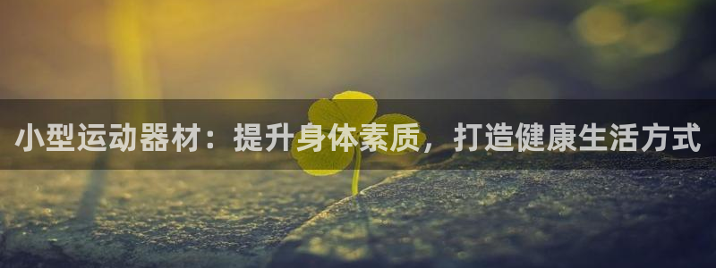 意昂体育3招商：小型运动器材：提升身体素质，打造健康