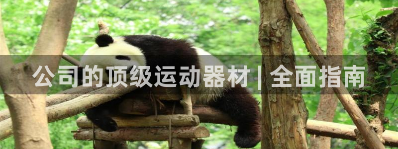 意昂3娱乐是那个系列的台子：公司的顶级运动器材 | 