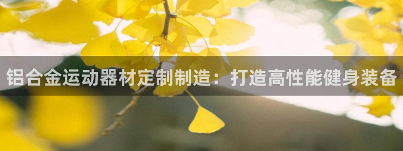意昂3集团官网首页网址：铝合金运动器材定制制造：打造