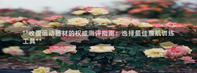 意昂体育3：**收腹运动器材的权威测评指南：选择最佳