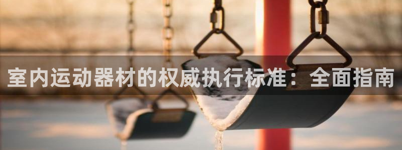 意昂3官网：室内运动器材的权威执行标准：全面指南