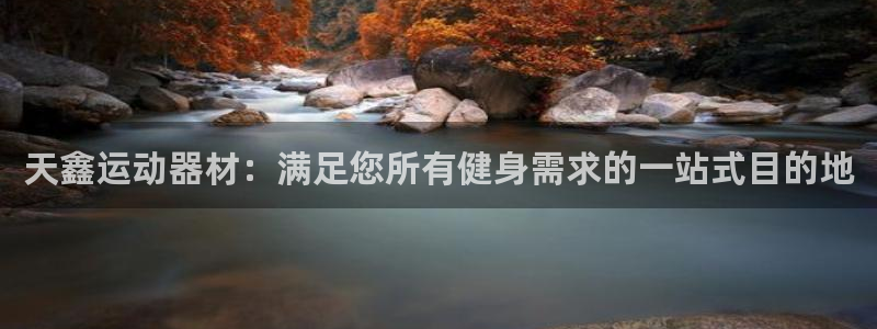 海南意昂体育3：天鑫运动器材：满足您所有健身需求的一