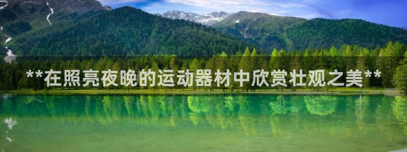 意昂3代理：**在照亮夜晚的运动器材中欣赏壮观之美*