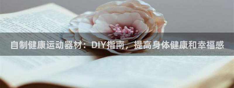意昂3五金厂：自制健康运动器材：DIY指南，提高身体